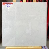 Gạch lát nền Prime 60x60 NY6613