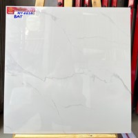 Gạch lát nền Prime 60x60 NY6620