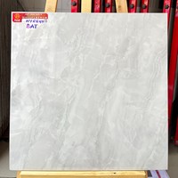 Gạch lát nền Prime 60x60 NY6649