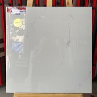 Gạch lát nền Prime 60x60 NYP6600