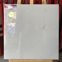 Gạch lát nền Prime 60x60 NYP6600