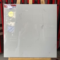 Gạch lát nền Prime 60x60 NYP6600