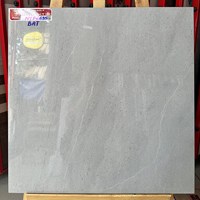 Gạch lát nền Prime 60x60 NYP6635