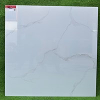 Gạch lát nền Prime 80x80 30000