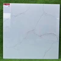 Gạch lát nền Prime 80x80 30000