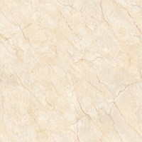 Gạch lát nền Prime 80x80 8741