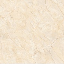Gạch lát nền Prime 80x80 8741