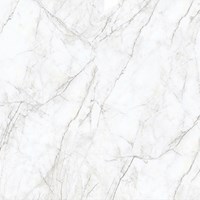 Gạch lát nền Prime 80x80 8743