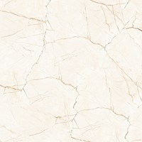 Gạch lát nền Prime 80x80 8744