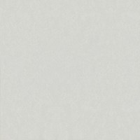 Gạch lát nền Taicera 60x60 G68025