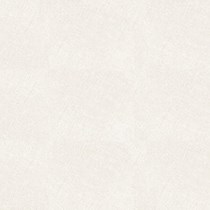 Gạch lát nền Taicera 60x60 G68052