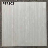 Gạch lát nền Taicera 80x80 2 da P87202