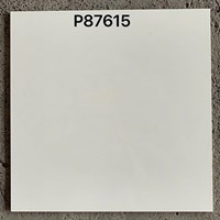 Gạch lát nền Taicera 80x80 2 da P87615