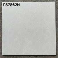 Gạch lát nền Taicera 80x80 2 da P87862N