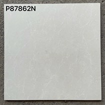 Gạch lát nền Taicera 80x80 2 da P87862N