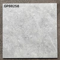 Gạch lát nền Taicera 80x80 bóng GP88258