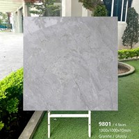 Gạch lát nền Tasa 100x100 bóng 9801