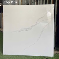 Gạch lát nền Tasa 100x100 TOP 1107