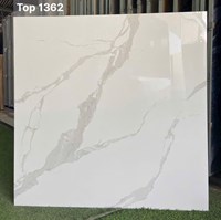 Gạch lát nền Tasa 100x100 TOP 1362