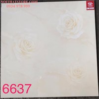 Gạch lát nền Tasa 60x60 6637