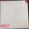Gạch lát nền Tasa 60x60 6637