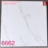 Gạch lát nền Tasa 60x60 6662