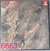 Gạch lát nền Tasa 60x60 6663