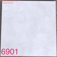 Gạch lát nền Tasa 60x60 BD6901