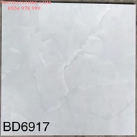 Gạch lát nền Tasa 60x60 BD6917