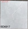 Gạch lát nền Tasa 60x60 BD6917
