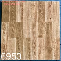 Gạch lát nền Tasa 60x60 BD6953