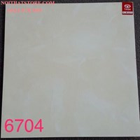 Gạch lát nền Tasa 60x60 SA6704