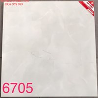 Gạch lát nền Tasa 60x60 SA6705