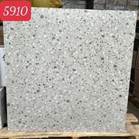 Gạch lát nền Terrazzo Trung Quốc 60x60 5910