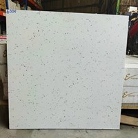 Gạch lát nền Terrazzo Trung Quốc 60x60 6001