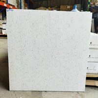 Gạch lát nền Terrazzo Trung Quốc 60x60 6002