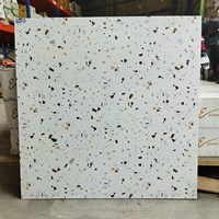 Gạch lát nền Terrazzo Trung Quốc 60x60 6003