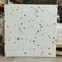 Gạch lát nền Terrazzo Trung Quốc 60x60 6004