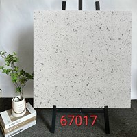 Gạch lát nền Terrazzo Trung Quốc 60x60 67017