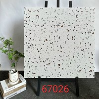 Gạch lát nền Terrazzo Trung Quốc 60x60 67026