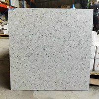 Gạch lát nền Terrazzo Trung Quốc 60x60 67055