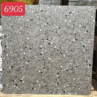 Gạch lát nền Terrazzo Trung Quốc 60x60 6905