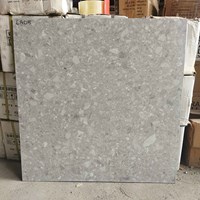 Gạch lát nền Terrazzo Trung Quốc 60x60 6A05