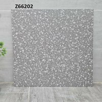 Gạch lát nền Terrazzo Trung Quốc 60x60 Z66202