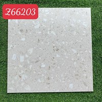 Gạch lát nền Terrazzo Trung Quốc 60x60 Z66203