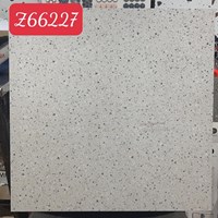 Gạch lát nền Terrazzo Trung Quốc 60x60 Z66227