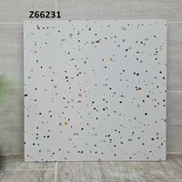 Gạch lát nền Terrazzo Trung Quốc 60x60 Z66231