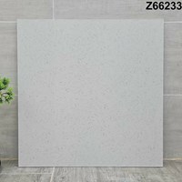 Gạch lát nền Terrazzo Trung Quốc 60x60 Z66233