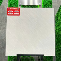 Gạch lát nền Thạch Bàn 60x60 mờ PGM60-0226