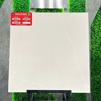 Gạch lát nền Thạch Bàn 60x60 mờ PGM60-0234